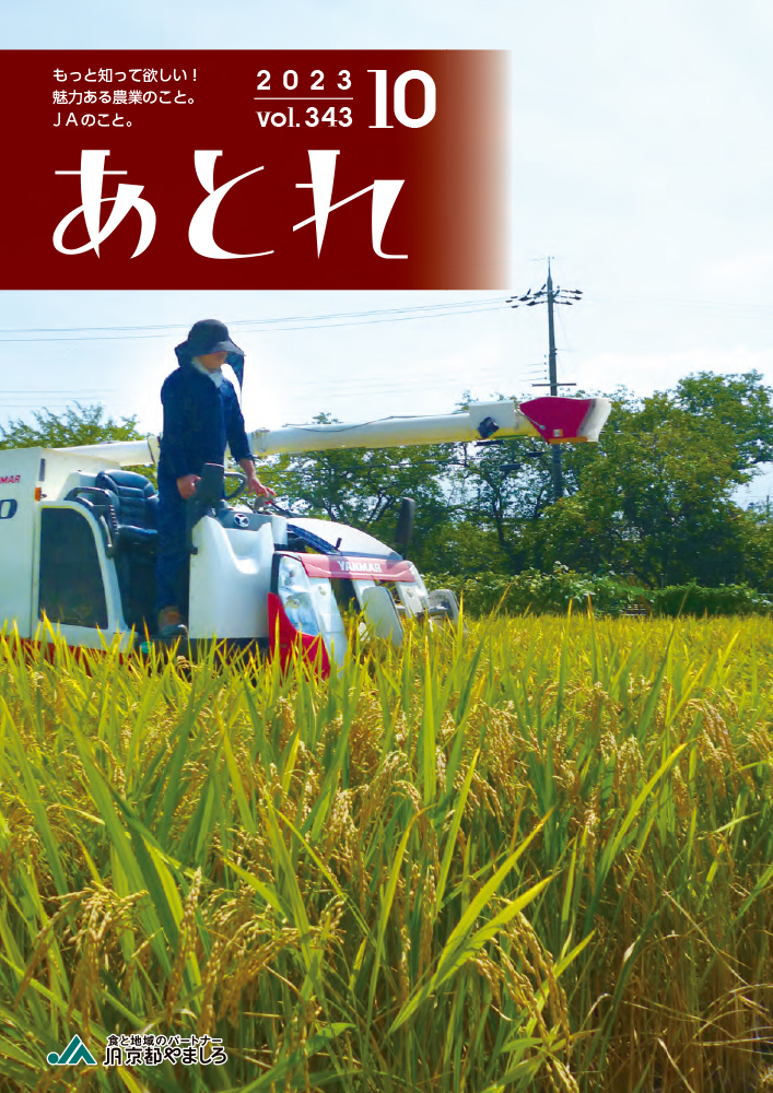Vol.343