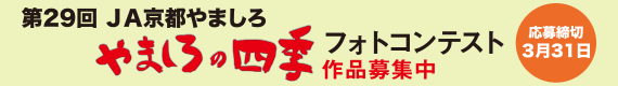 第29回 やましろの四季フォトコンテスト作品募集